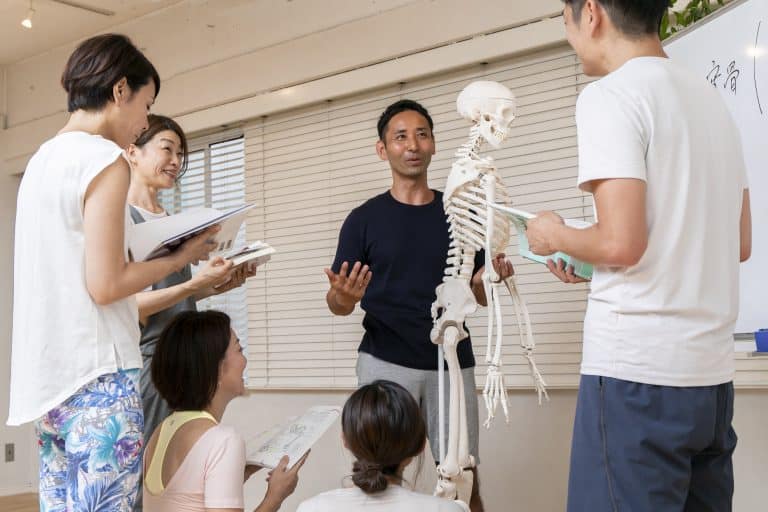 さらに現代の解剖学まで