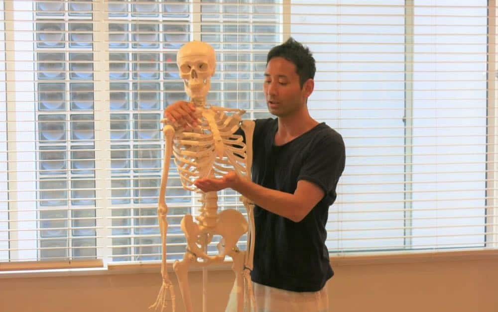 解剖生理学はご自分や大切な方のセルフメディケーションに役立ちます。